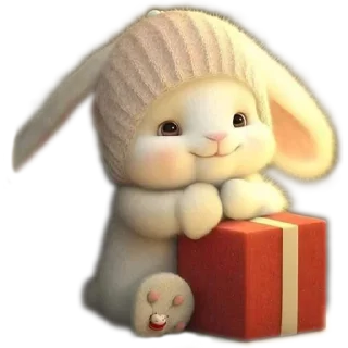 🐰
