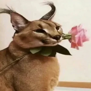 💐