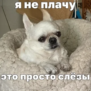 😭