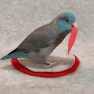 ❤️