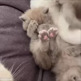 😝