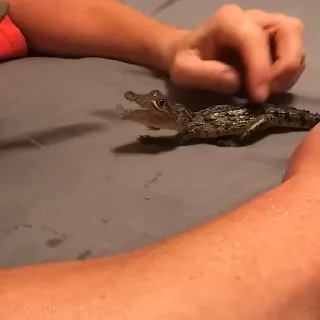 🥰