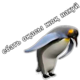 🙏
