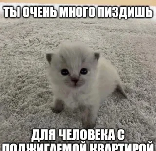 😈
