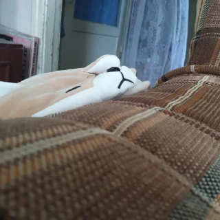 😑
