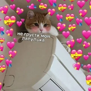❤️