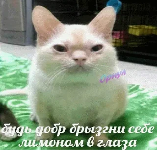 😡