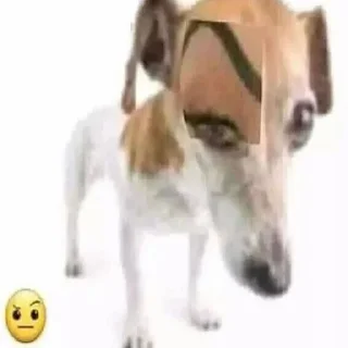 🤨