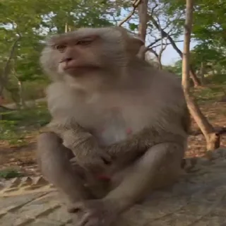 😩