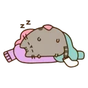 😴