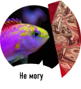 🐟