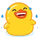 Cute Duck