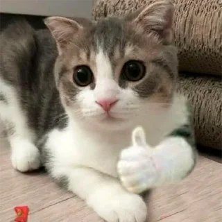 👍