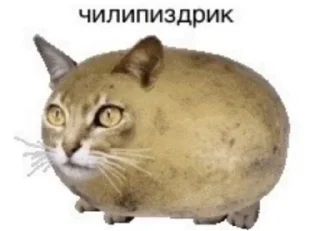 👦