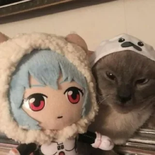🐈‍⬛