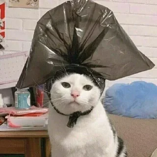 👑