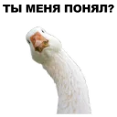 👀