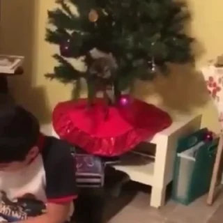 🌟
