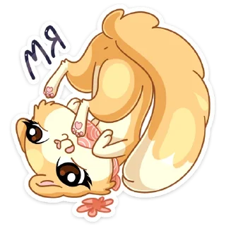 🐱