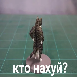 🤨