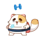 💪