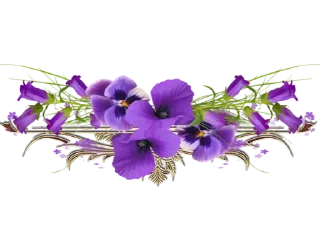 🌺