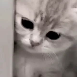 🥺