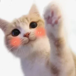 ☺️
