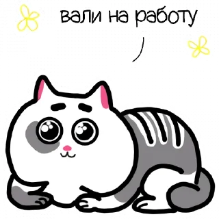 Жиробарсик Classic