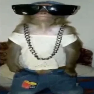 😎