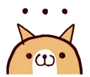 🐶