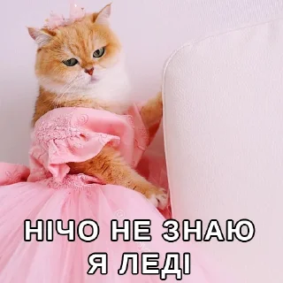 💅