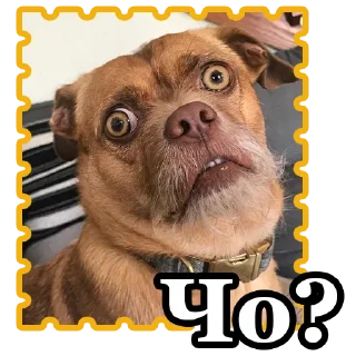 😮