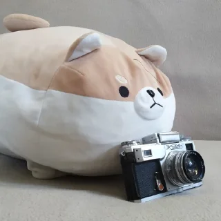 📷