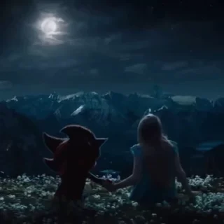 🌟