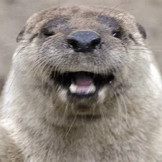 😄
