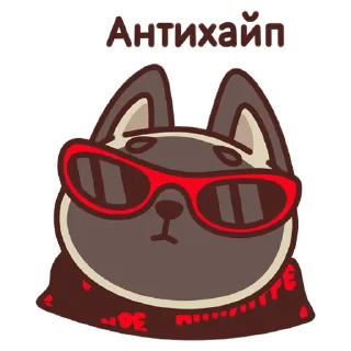 😎