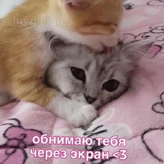 🥰