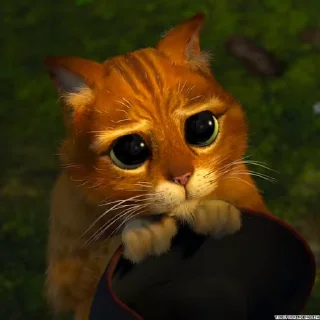 🥺