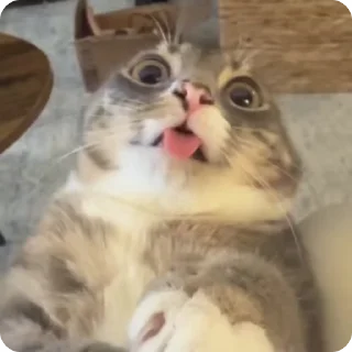 😜