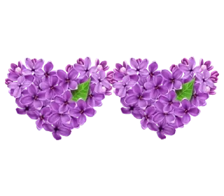 💞