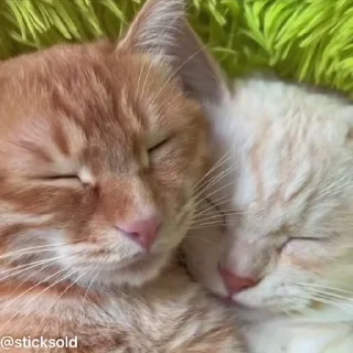 😍