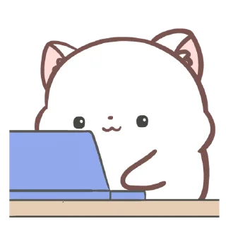 🧑‍💻