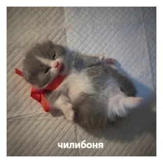 🥰