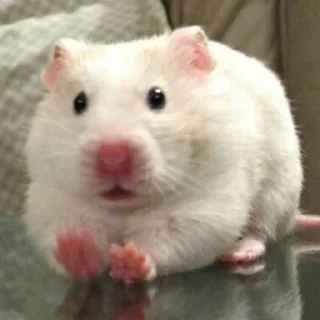 😨