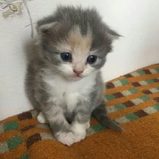 😐
