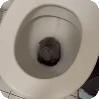 🫣