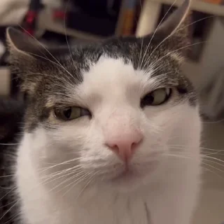 😑