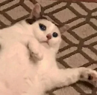 😶