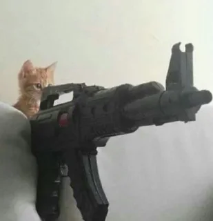 🐈